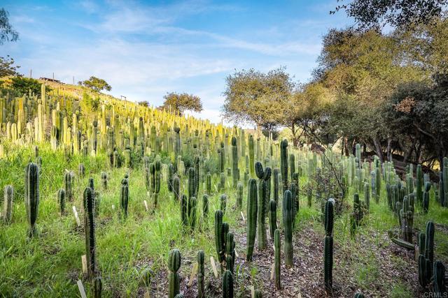 Detail Gallery Image 39 of 74 For 11782 Betsworth Rd, Valley Center,  CA 92082 - 4 Beds | 3 Baths