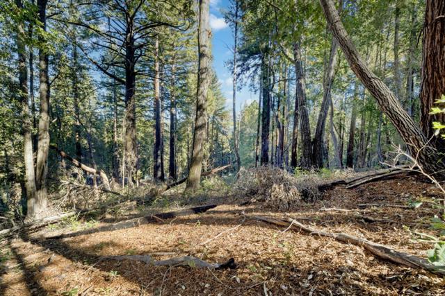 0 Western, Brookdale CA: https://media.crmls.org/mediaz/72d8846d-9644-4e34-be48-06de4e57be41.jpg