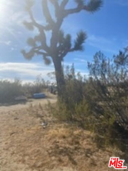 6000 W 140th Street West, Rosamond CA: https://media.crmls.org/mediaz/72d8ec19-9655-4983-b404-eb658169fd6d.jpg