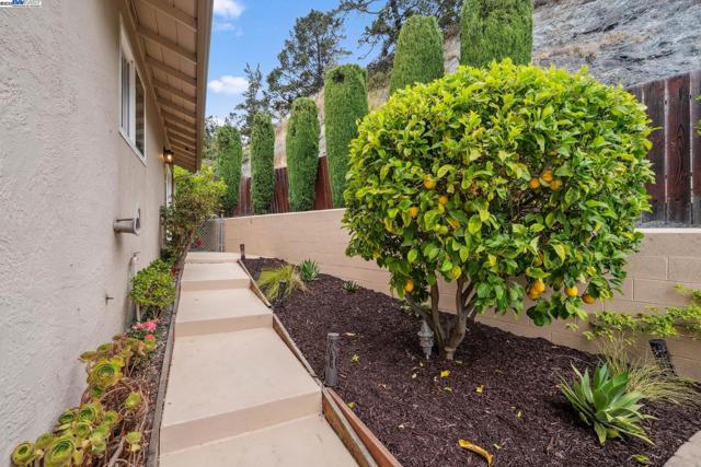 598 CRESTMONT DRIVE, Oakland CA: https://media.crmls.org/mediaz/72dc841c-3e4f-4399-b946-c843e798d580.jpg