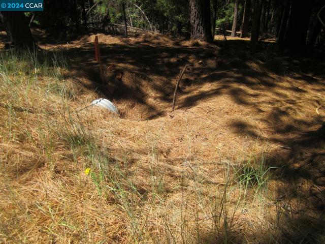 Image 3 of 7 For 9893 Grizzly Flat Rd