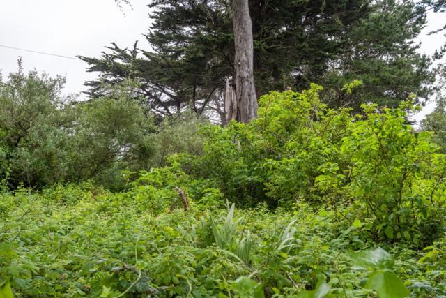 0 Oak Avenue, Moss Beach CA: https://media.crmls.org/mediaz/72f1175d-1ae9-4b50-a474-07d37a17a02a.jpg