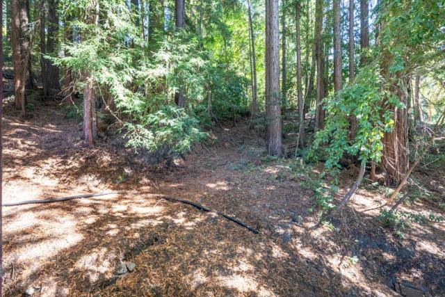 429 Fairview Avenue, Boulder Creek CA: https://media.crmls.org/mediaz/72f4aca3-0270-493f-9814-fca6041db185.jpg