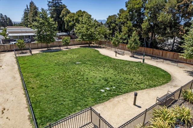 2420 Kita Lane, San Jose CA: https://media.crmls.org/mediaz/72f6f082-8355-41a9-93bb-dff7360abd48.jpg