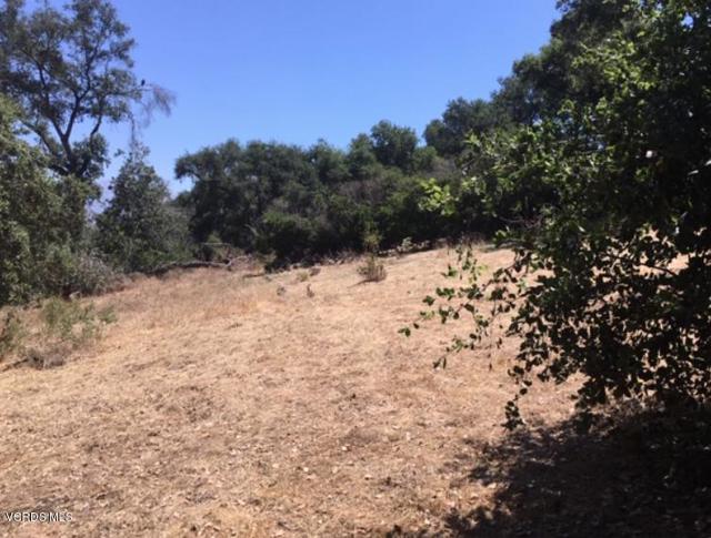 2442 Valley Meadow Drive, Oak View CA: https://media.crmls.org/mediaz/72fdd0d5-b52f-4f79-a694-c306a57dc00f.jpg