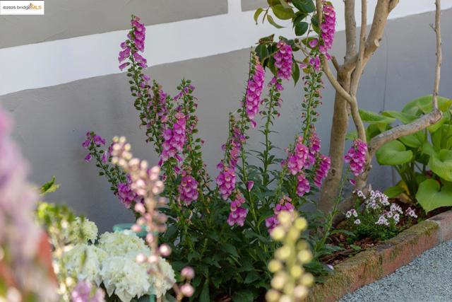 6753 Manor Crest, Oakland CA: https://media.crmls.org/mediaz/730d0642-a023-4d6c-8c52-398338b8361b.jpg