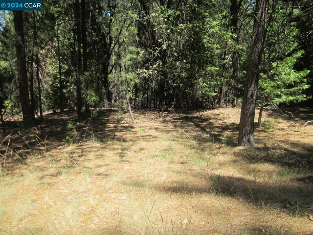 Image 6 of 7 For 9893 Grizzly Flat Rd