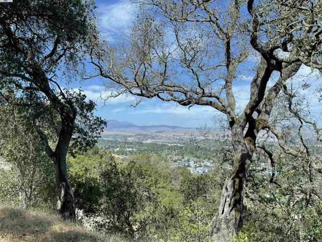 3984 Foothill Rd, Pleasanton CA: https://media.crmls.org/mediaz/7317832a-59a7-4cbd-a0bc-7cb6bc0894af.jpg