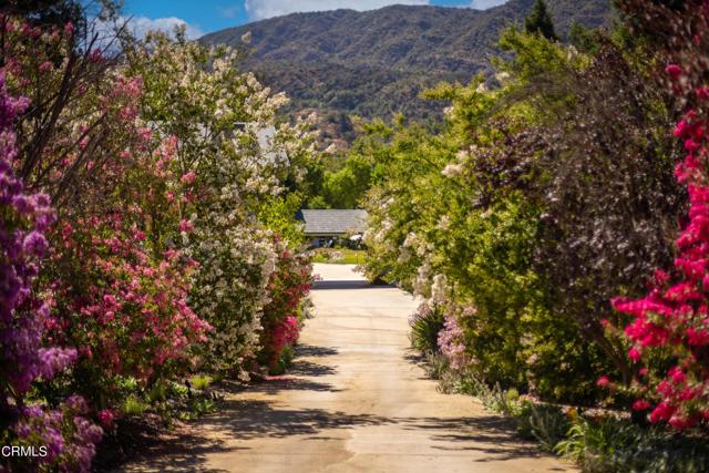 741 Saddle Lane, Ojai CA: https://media.crmls.org/mediaz/7317e661-5068-4e22-9e6f-cac1257fbb8d.jpg
