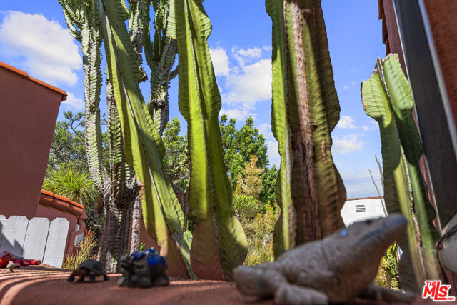 931 S Ogden Drive, Los Angeles CA: https://media.crmls.org/mediaz/73182643-9692-4242-9586-4cf2adf780b5.jpg