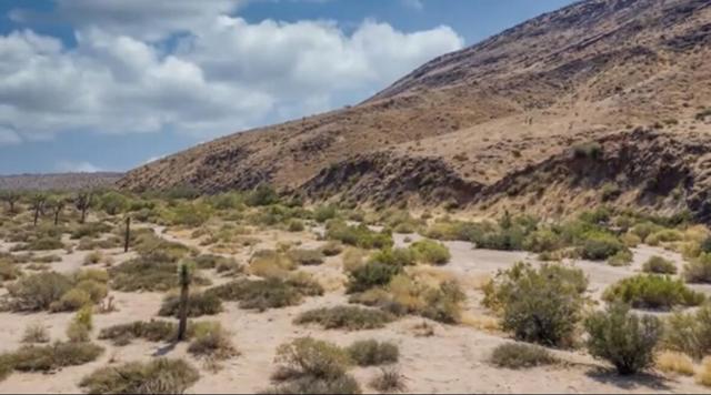 55455 Pipes Canyon, Pioneertown CA: https://media.crmls.org/mediaz/731c2971-935d-4c0d-b5e9-9bfa40fd2b60.jpg