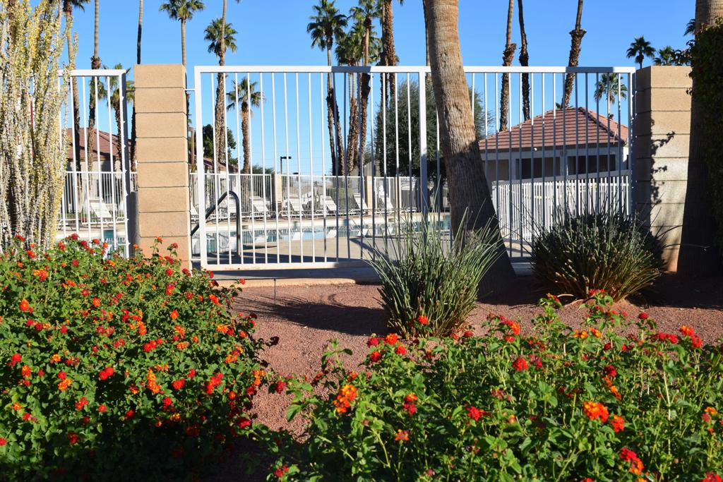 MLS #219140033DA image #5