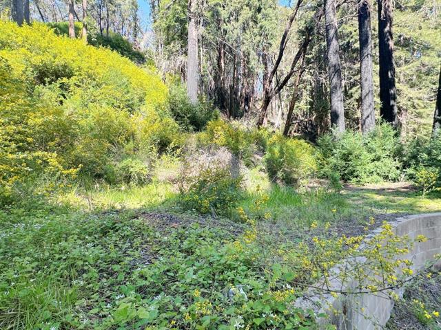 575 Hazel Brake, Boulder Creek CA: https://media.crmls.org/mediaz/73216bcf-3c2f-4fee-891e-1f0db7e61a9f.jpg
