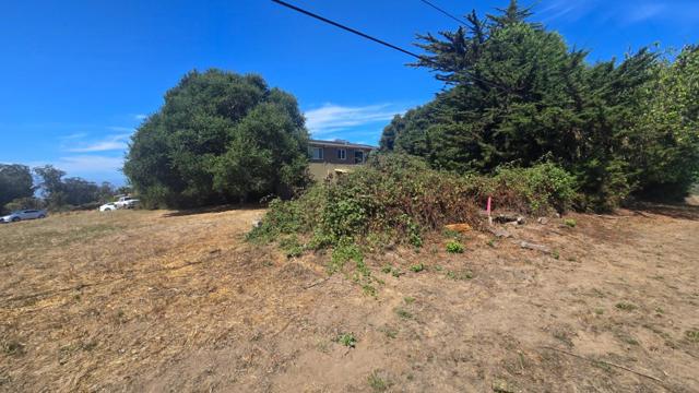 145 Lindero, La Selva Beach CA: https://media.crmls.org/mediaz/732517d8-ce4d-4d76-8b76-e17665400c2a.jpg