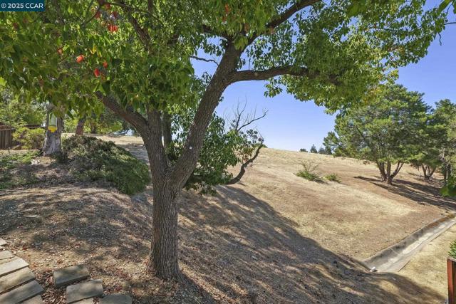 2510 Tea Tree Ct, Martinez CA: https://media.crmls.org/mediaz/73268644-467e-4c05-9162-f36fcfb0a5e0.jpg