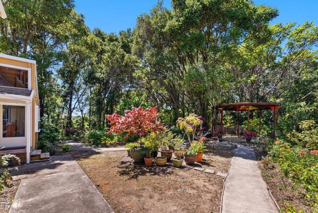 825 Skyward Drive, Aptos CA: https://media.crmls.org/mediaz/732febd6-8f6b-4543-a61b-bfd0c5adb856.jpg