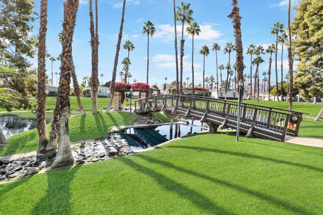 1223 Via Yolo, Cathedral City CA: https://media.crmls.org/mediaz/733e5477-5507-4c43-ac98-45d48cc2aa0f.jpg
