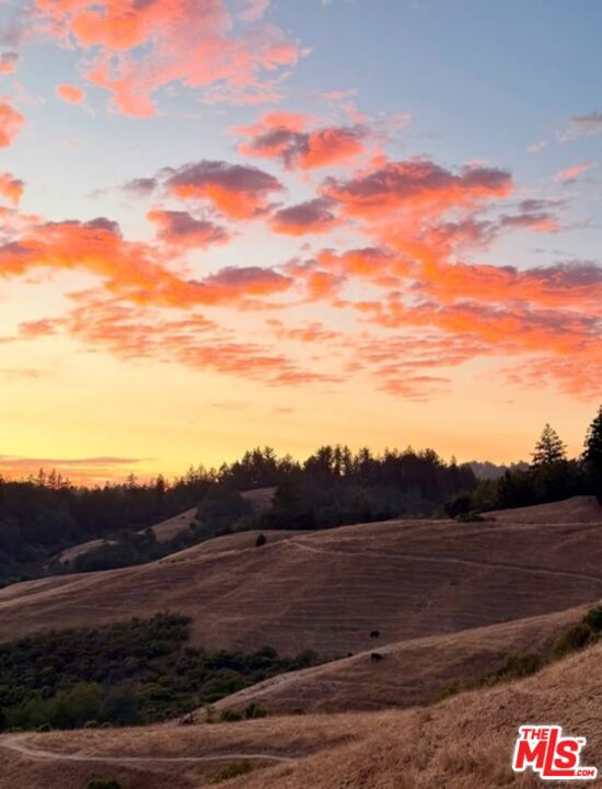 41 W Warner Street, Ventura CA: https://media.crmls.org/mediaz/733edc72-4f9d-4094-9666-c05425dfd7e0.jpg