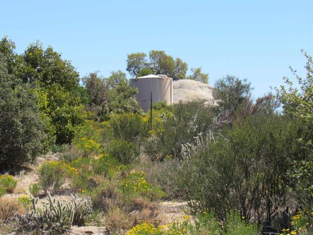 Detail Gallery Image 17 of 47 For 200 Acres Mccain Valley Rd, Boulevard,  CA 91905 - – Beds | – Baths