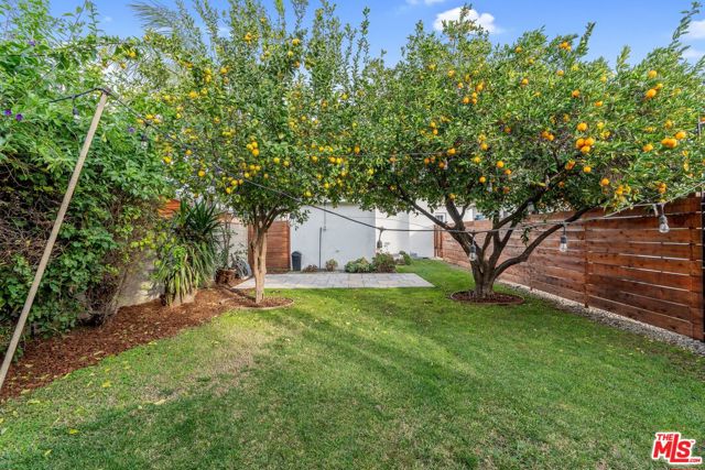 6713 Saint Clair Avenue, North Hollywood CA: https://media.crmls.org/mediaz/7374963d-93c2-4ac5-9321-03e74e88a6ae.jpg