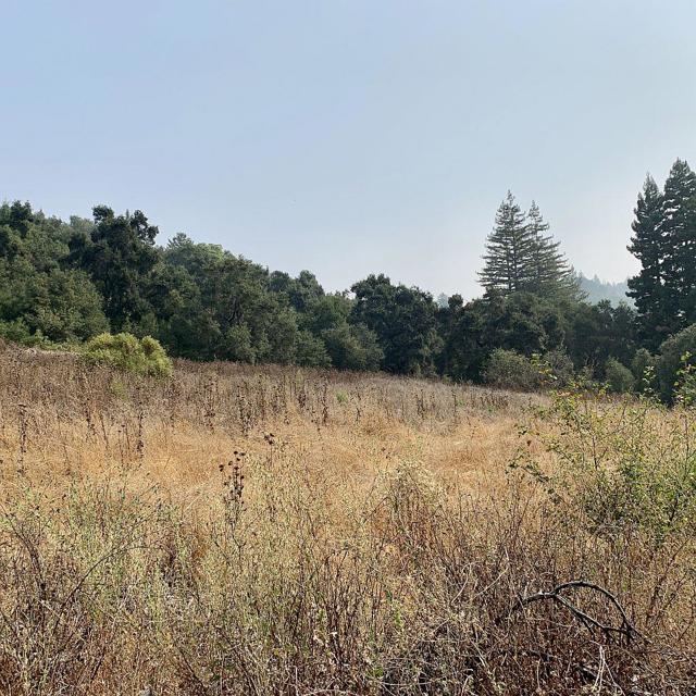 0 Two Bar Road, Boulder Creek CA: https://media.crmls.org/mediaz/73894878-9738-43c1-979a-9baa9a274604.jpg