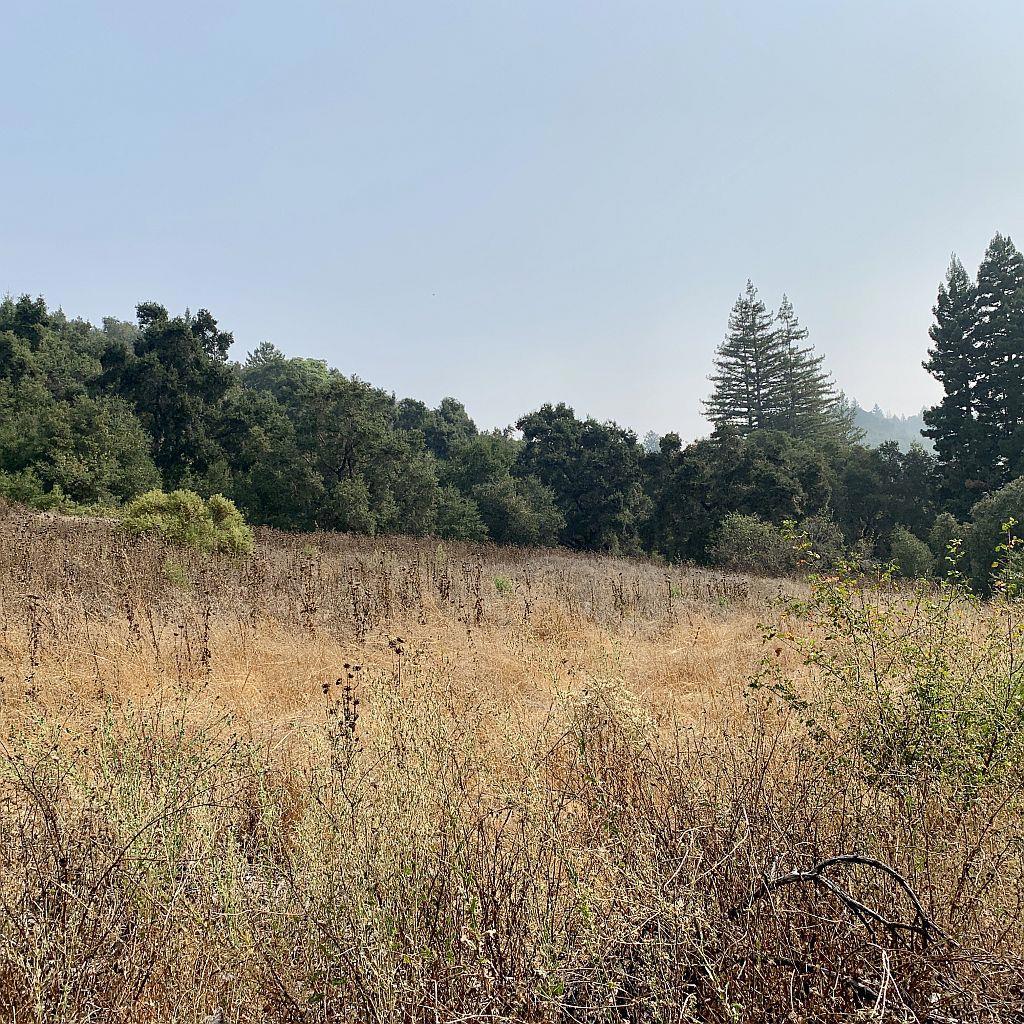 MLS #ML81810757 image #64