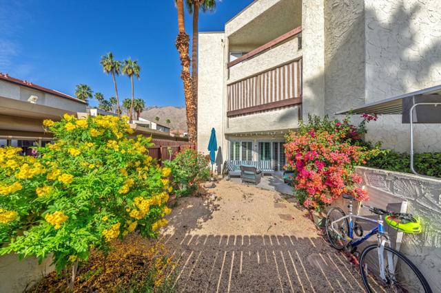 1490 S Camino Real, Palm Springs CA: https://media.crmls.org/mediaz/7389fd0b-1f12-4ed2-9a2a-11cfcd062113.jpg