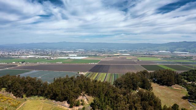 14440 Ridgecrest Road, Royal Oaks CA: https://media.crmls.org/mediaz/738a8b84-4763-4dff-8e2d-d1f2da8d9f3b.jpg