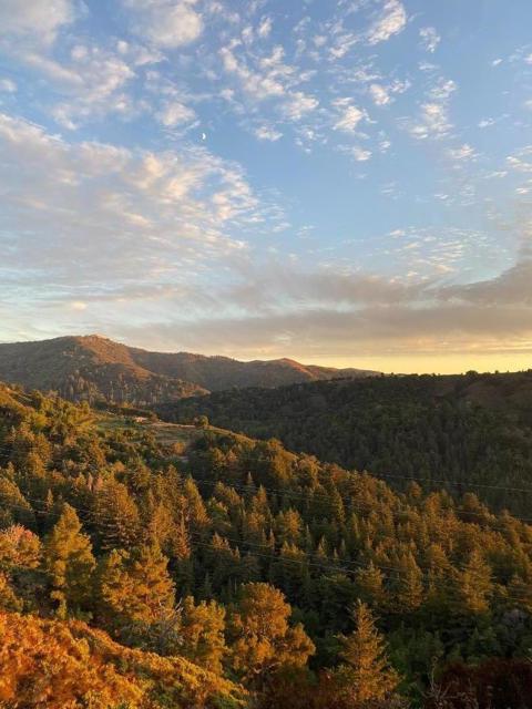 0 Palo Colorado Road, Carmel CA: https://media.crmls.org/mediaz/738e929c-16a8-4473-903d-e8dcffde9ef7.jpg