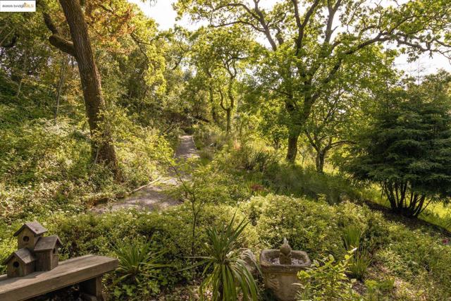 1 Kittiwake Rd, Orinda CA: https://media.crmls.org/mediaz/738ff507-cb02-45d6-b3c8-948d1f1cee66.jpg