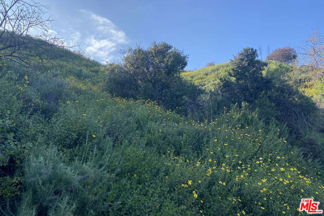 3027 Franklin Canyon Drive, Beverly Hills CA: https://media.crmls.org/mediaz/7396edcf-4c80-499a-8dd1-9306e36d034f.jpg