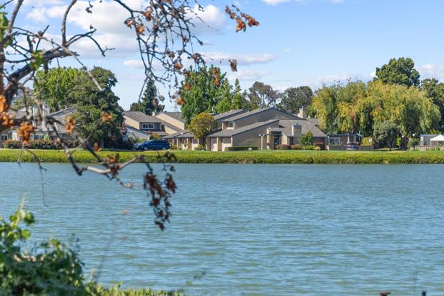 1567 Lago Street, San Mateo CA: https://media.crmls.org/mediaz/73a24883-6fc1-4e9d-a2e7-d0eb36d170c3.jpg