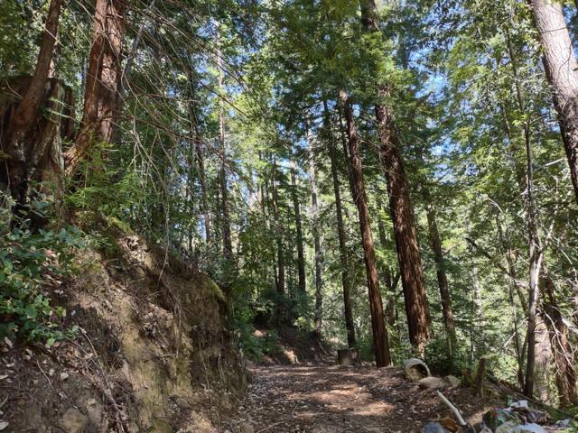 2950 Bear Canyon Road, Los Gatos CA: https://media.crmls.org/mediaz/73a392fb-8214-4f2e-b6c7-9f6e12c5f6db.jpg