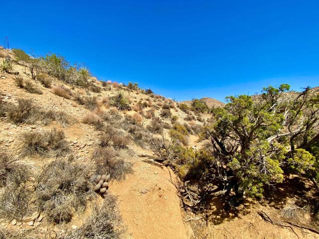 120 Benmar Trail, Morongo Valley CA: https://media.crmls.org/mediaz/73a5a5fd-987c-4568-a2f4-d719b6142f11.jpg