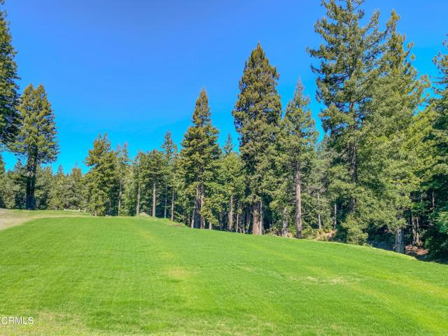 15137 Mitchell Creek Drive, Fort Bragg CA: https://media.crmls.org/mediaz/73ab9041-2cd1-4e1c-8cd4-db33e24c558e.jpg
