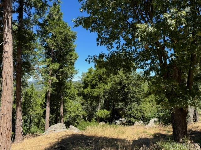 Detail Gallery Image 12 of 37 For 10 Acres Greenfield Way, Palomar Mountain,  CA 92060 - – Beds | – Baths