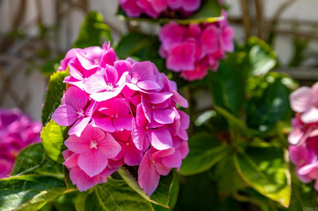 https://media.crmls.org/mediaz/73b122e0-a29d-4df8-9b37-f460d240f3b5.jpg?preset=X-Large