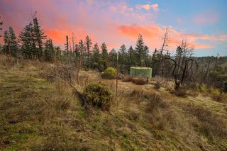 1005 Pinecrest Drive, Boulder Creek CA: https://media.crmls.org/mediaz/73b130e0-d850-4a97-846b-5343ff376564.jpg