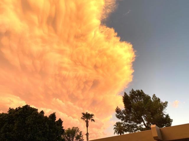 1490 S Camino Real, Palm Springs CA: https://media.crmls.org/mediaz/73bcb85d-5b8f-475e-a998-8b310e7334a4.jpg