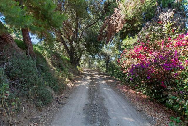 3264 Shearer Xing, Fallbrook, California 92028, 4 Bedrooms Bedrooms, ,2 BathroomsBathrooms,Single Family Residence,For Sale,Shearer Xing,240026943SD