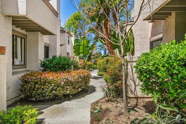 3205 Via Alicante, La Jolla CA: https://media.crmls.org/mediaz/73c3ac8b-09a4-4178-8fed-a67b69450e11.jpg