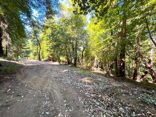 0 E Hilton, Boulder Creek CA: https://media.crmls.org/mediaz/73d2347c-e5c0-433f-998c-a35b299d152e.jpg