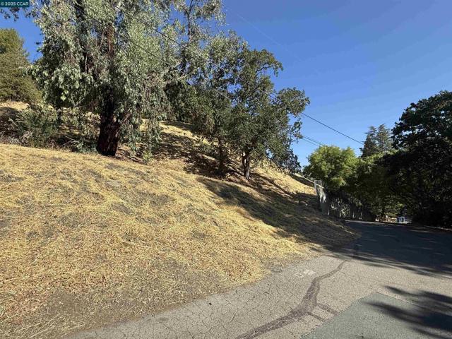 0 Alamo View Pl, Walnut Creek CA: https://media.crmls.org/mediaz/73d7d9f5-8209-4cce-9951-779279667f4e.jpg