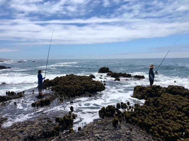 10247 Cabrillo Highway, Pescadero CA: https://media.crmls.org/mediaz/73e0cfd3-f63b-4195-bf1c-e0b1f9555594.jpg