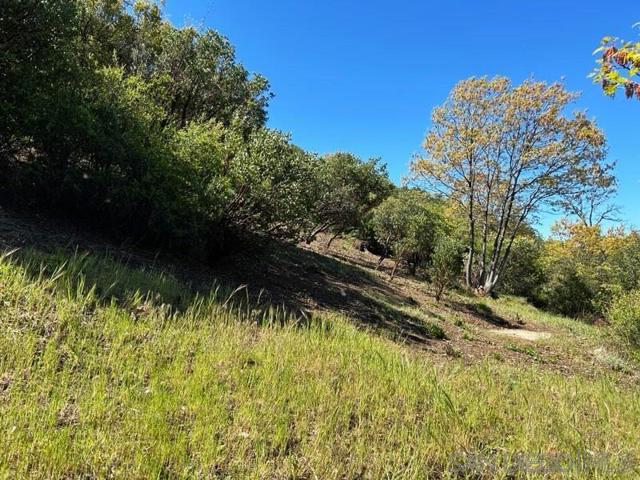 Image 14 of 17 For 7632 Engineers Road