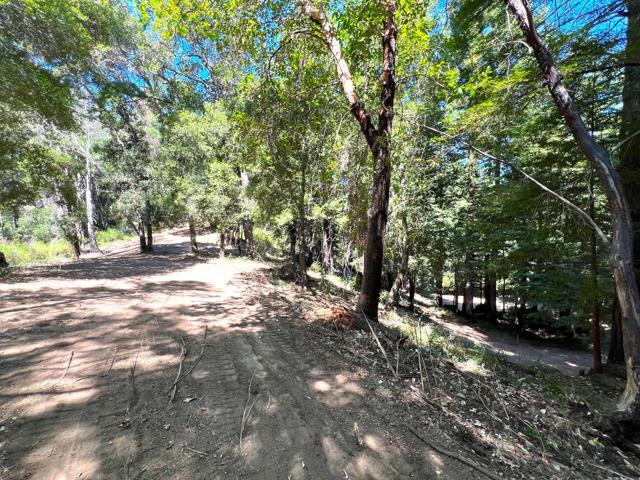 0 E Hilton, Boulder Creek CA: https://media.crmls.org/mediaz/73e711c4-4884-4c23-9863-9068b589d61a.jpg