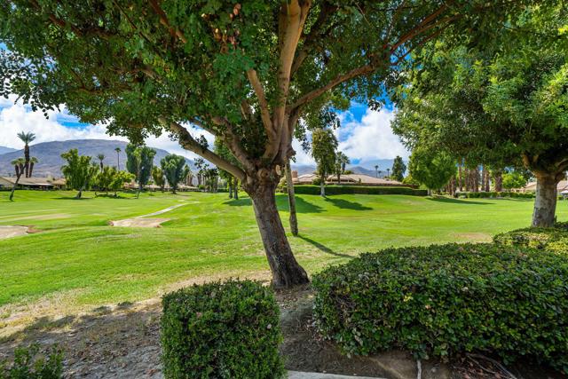 179 Gran, Palm Desert CA: https://media.crmls.org/mediaz/73eca411-e204-422d-b3a9-12a6367dbed1.jpg