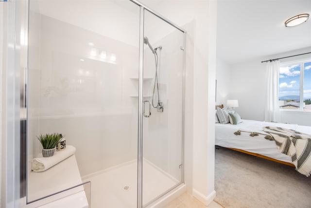 Primary Shower