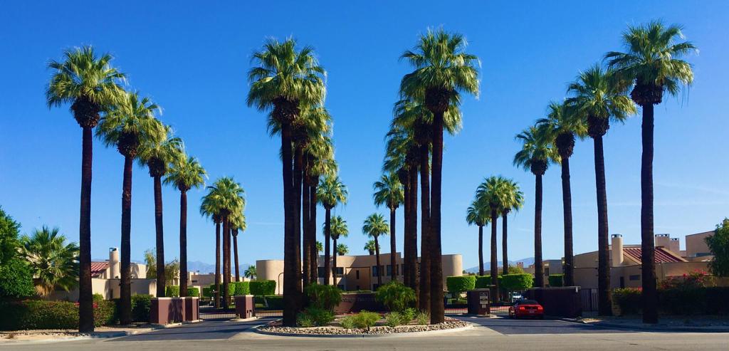 MLS #219141476PS image #49