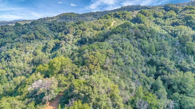 0 Little Uvas Road, Morgan Hill CA: https://media.crmls.org/mediaz/740a5c30-12a9-4d11-ab7b-4937e0f38d1d.jpg